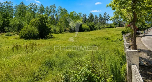 Terreno para Venda em Monte Real e Carvide