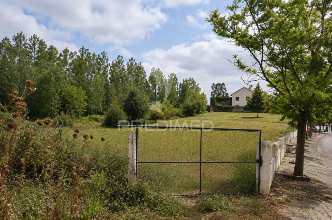 Terreno para Venda em Monte Real e Carvide Foto 5