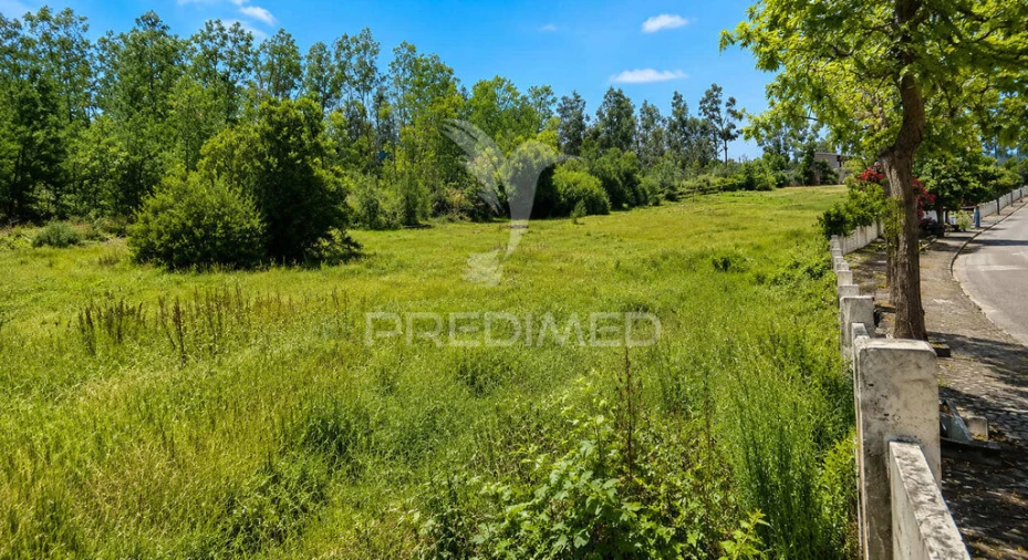 Terreno para Venda em Monte Real e Carvide Foto 6