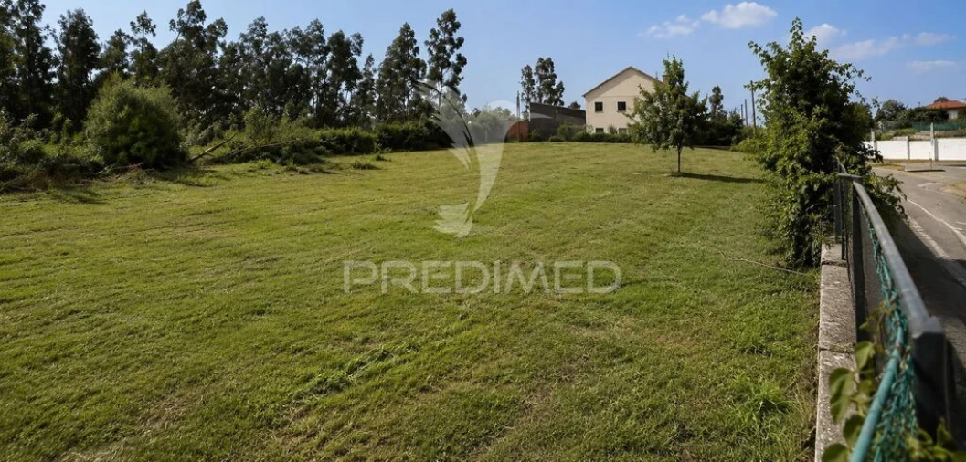 Terreno para Venda em Monte Real e Carvide Foto 4