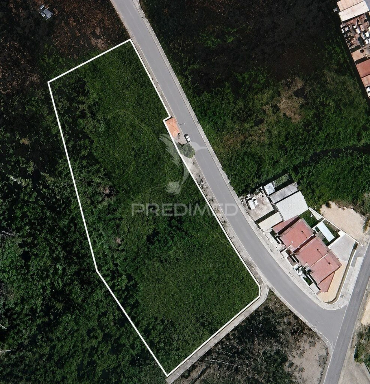 Terreno para Venda em Monte Real e Carvide Foto 1