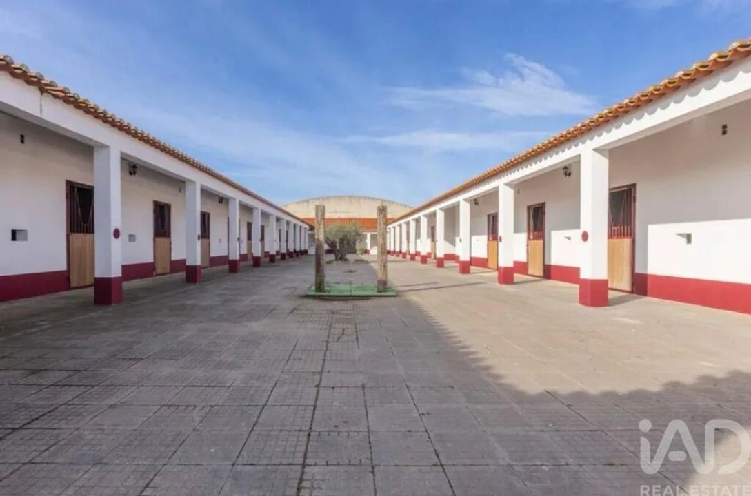 Quinta para Venda em Viana do Alentejo Foto 11