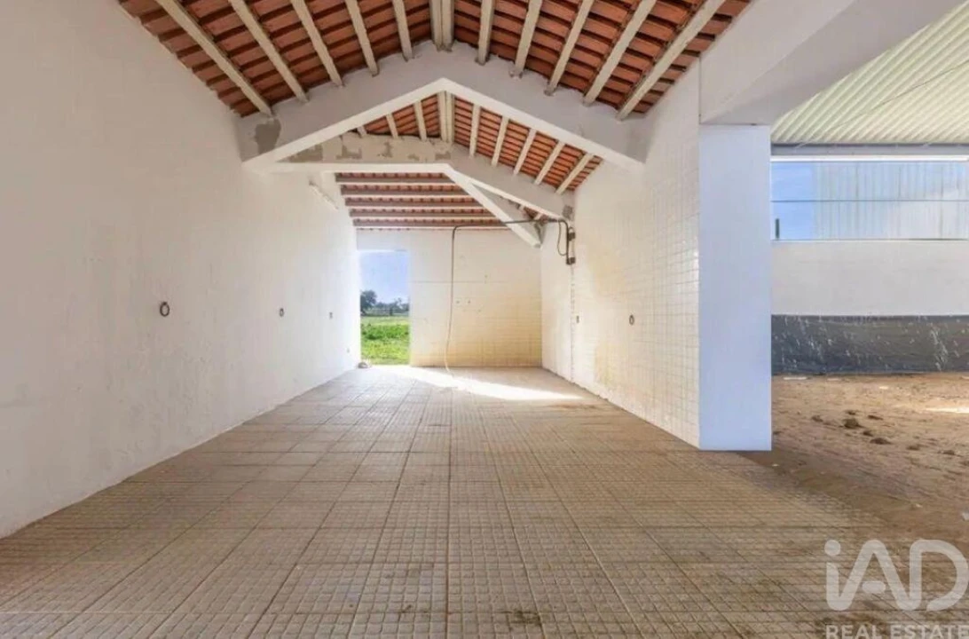Quinta para Venda em Viana do Alentejo Foto 14