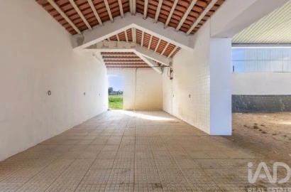 Quinta para Venda em Viana do Alentejo