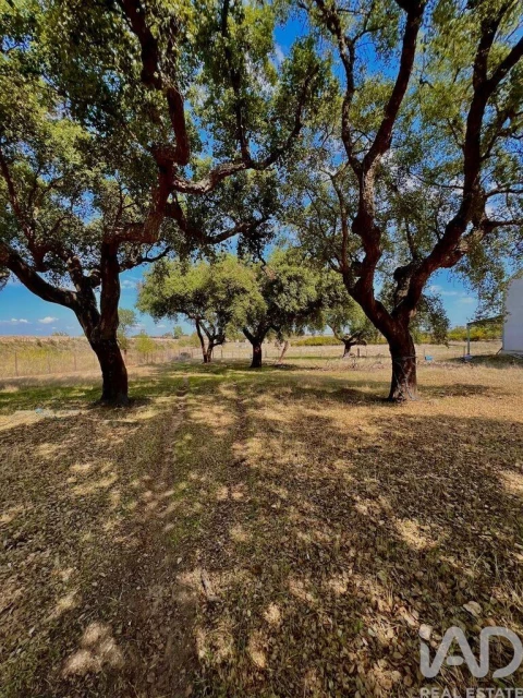 Quinta para Venda em Viana do Alentejo
