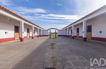 Quinta para Venda em Viana do Alentejo