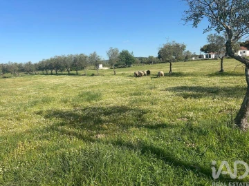 Quinta para Venda em Viana do Alentejo