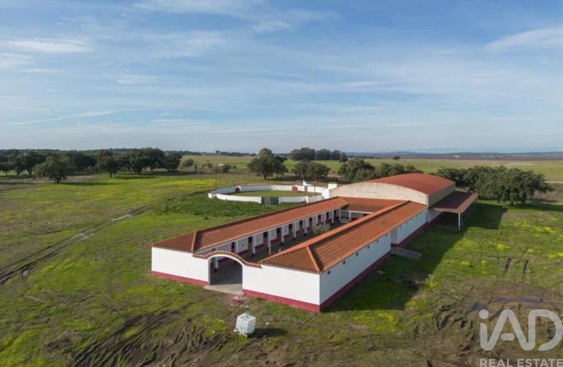 Quinta para Venda em Viana do Alentejo Foto 10