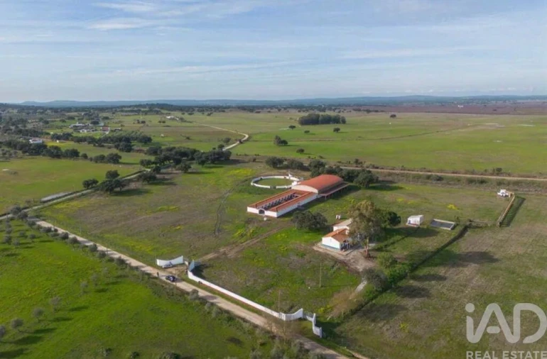 Quinta para Venda em Viana do Alentejo Foto 2