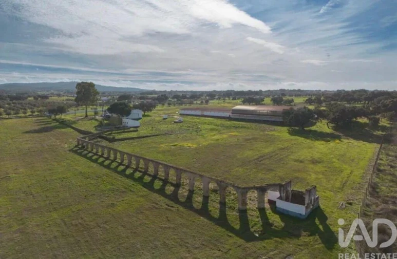 Quinta para Venda em Viana do Alentejo Foto 3