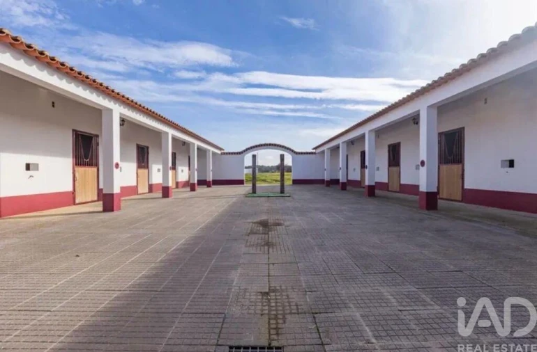 Quinta para Venda em Viana do Alentejo Foto 5