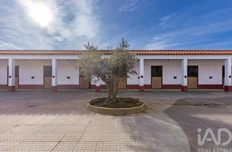 Quinta para Venda em Viana do Alentejo Foto 12