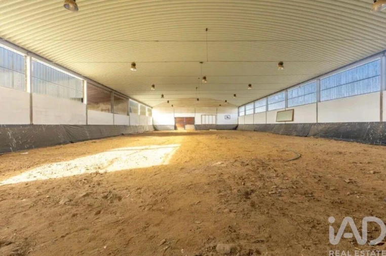 Quinta para Venda em Viana do Alentejo Foto 13