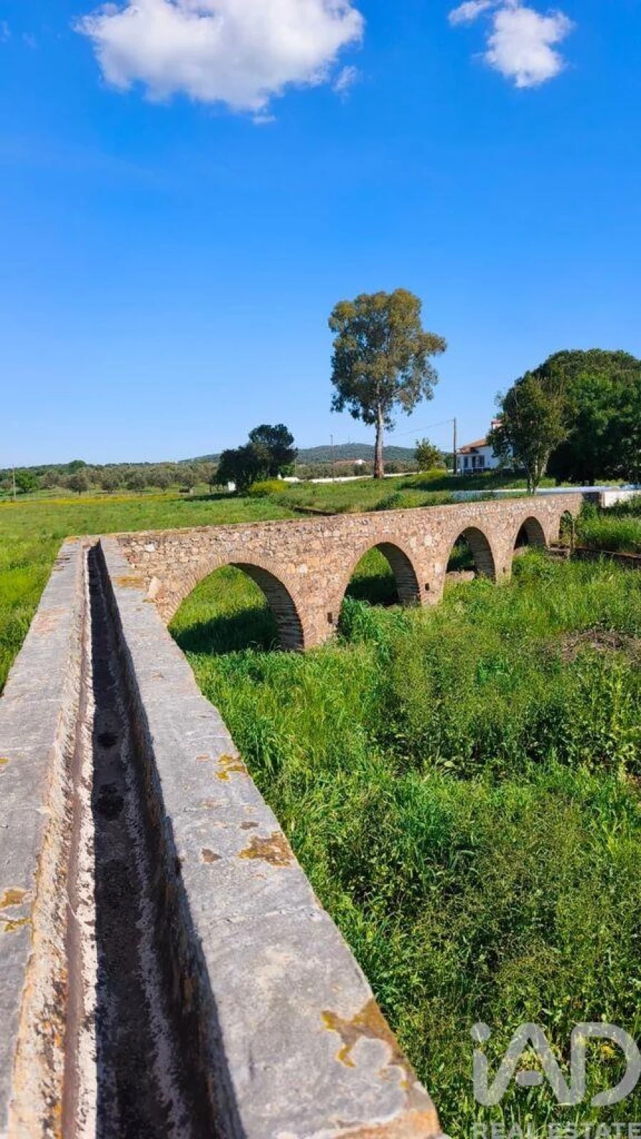 Quinta para Venda em Viana do Alentejo Foto 18