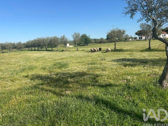 Quinta para Venda em Viana do Alentejo Foto 17