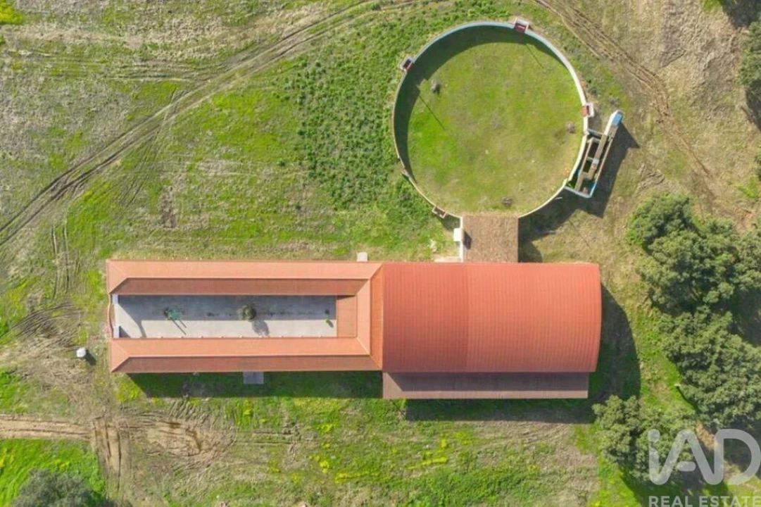 Quinta para Venda em Viana do Alentejo Foto 1