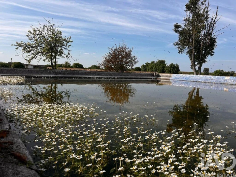 Quinta para Venda em Viana do Alentejo Foto 4