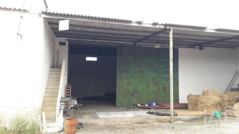 Quinta para Venda em Bacelo e Senhora da Saúde