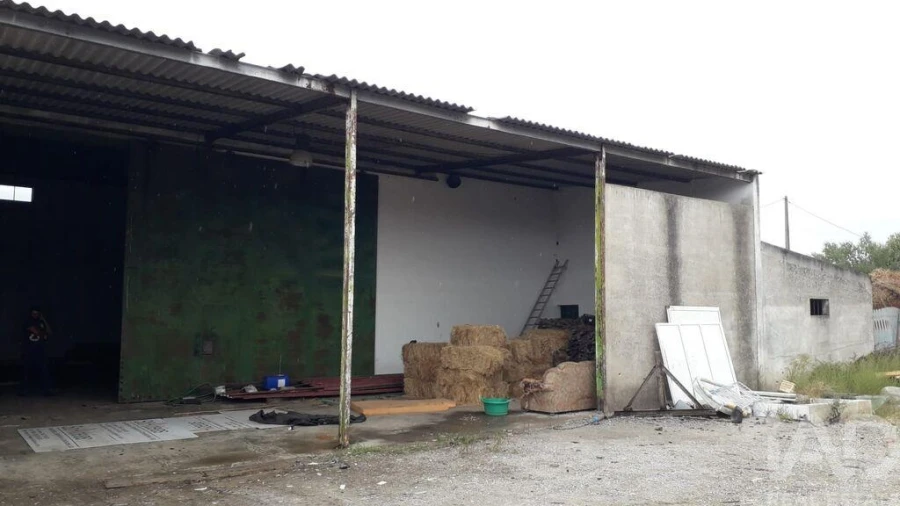 Quinta para Venda em Bacelo e Senhora da Saúde Foto 5