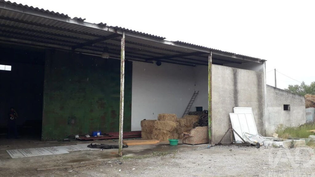 Quinta para Venda em Bacelo e Senhora da Saúde Foto 5