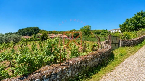 Terreno para Venda em Vila Marim