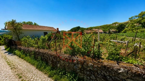 Terreno para Venda em Vila Marim