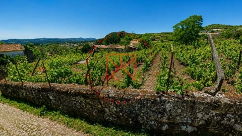 Terreno para Venda em Vila Marim
