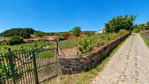 Terreno para Venda em Vila Marim