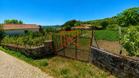 Terreno para Venda em Vila Marim