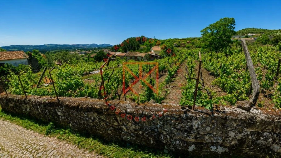 Terreno para Venda em Vila Marim Foto 4