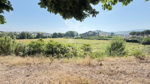 Terreno para Venda em Mirandela