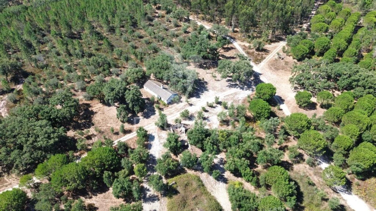Quinta para Venda em São Domingos e Vale de Água Foto 9