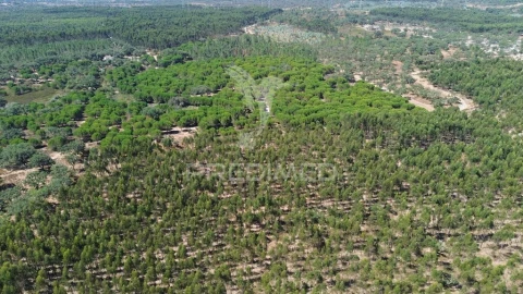 Quinta para Venda em São Domingos e Vale de Água