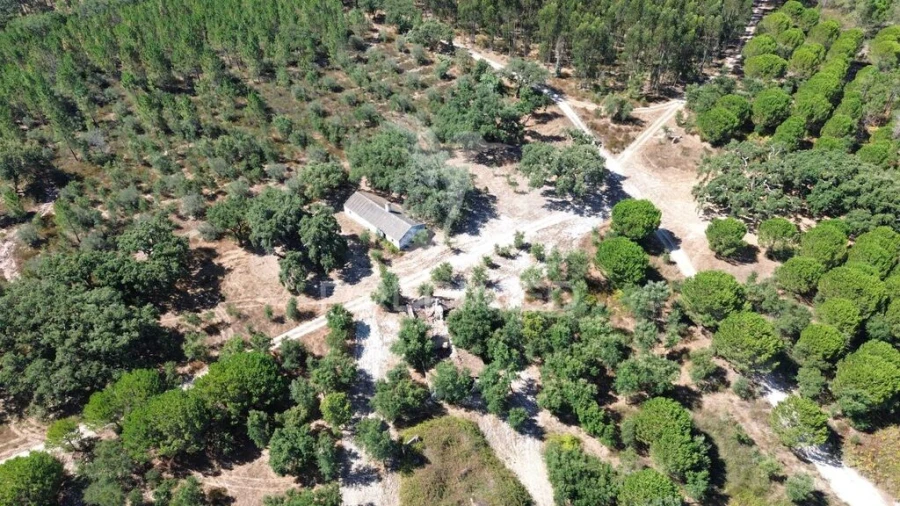 Quinta para Venda em São Domingos e Vale de Água Foto 9