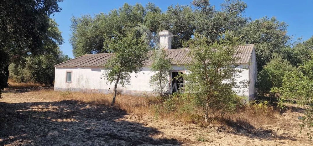 Quinta para Venda em São Domingos e Vale de Água Foto 3