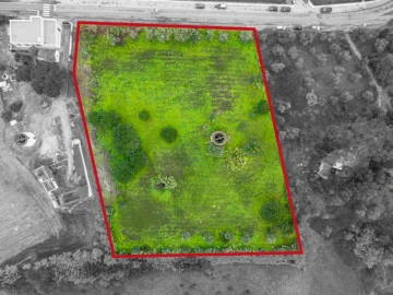 Terreno para Venda em Cartaxo e Vale da Pinta