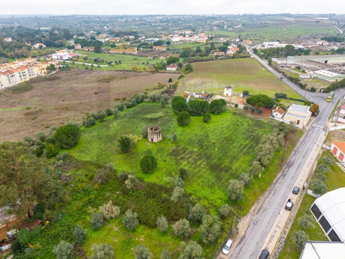 Terreno para Venda em Cartaxo e Vale da Pinta Foto 23