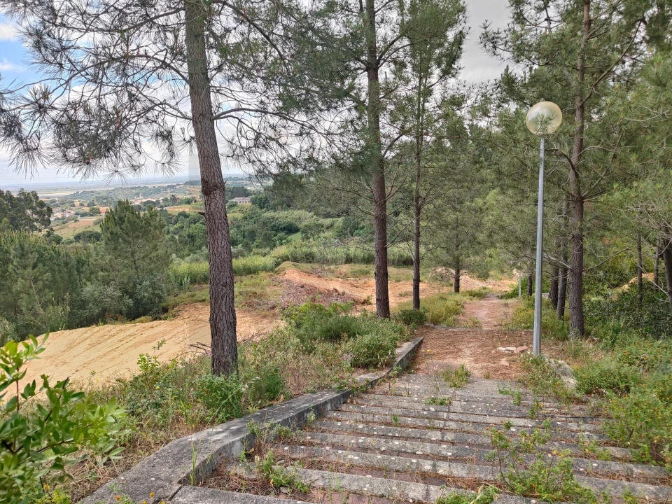 Terreno para Venda em Azambuja Foto 15