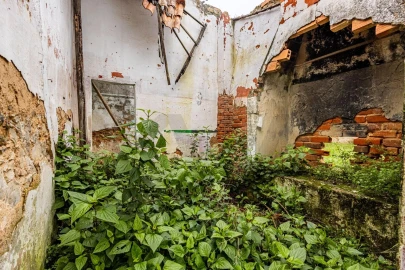Terreno para Venda em Cartaxo e Vale da Pinta