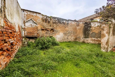 Terreno para Venda em Cartaxo e Vale da Pinta