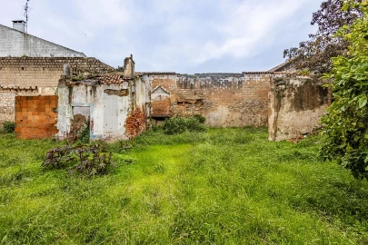 Terreno para Venda em Cartaxo e Vale da Pinta
