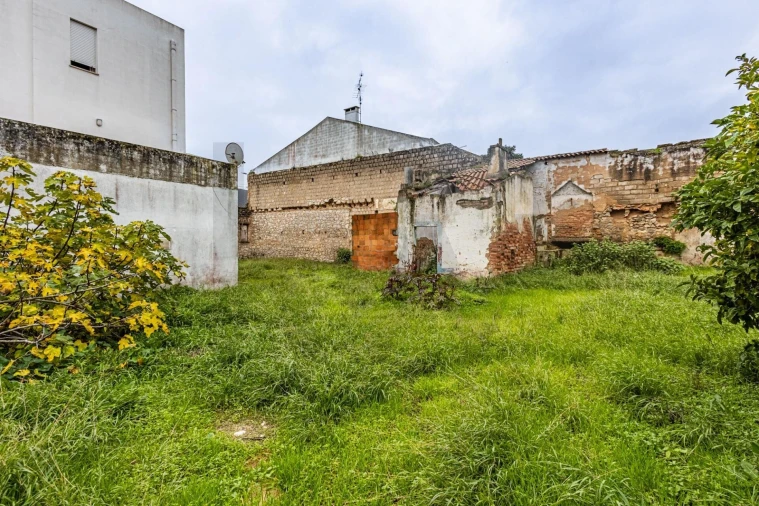 Terreno para Venda em Cartaxo e Vale da Pinta Foto 3