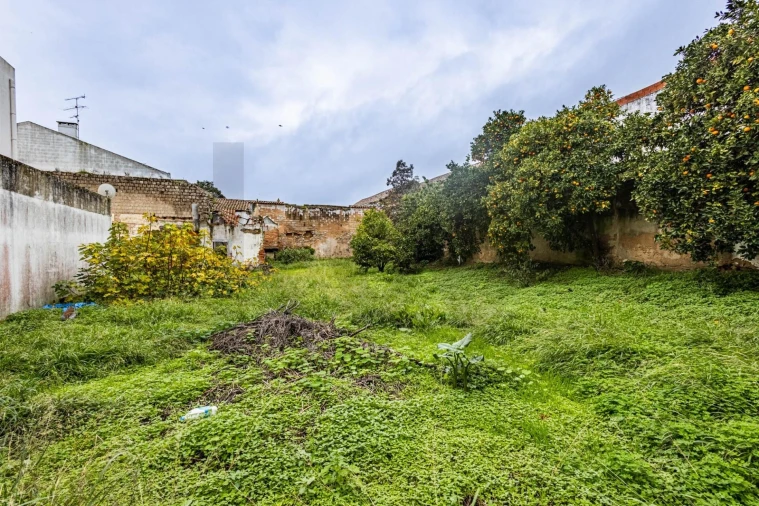 Terreno para Venda em Cartaxo e Vale da Pinta Foto 2