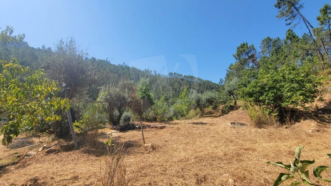 Terreno Agricola ou Rústico para Venda em Sarzedas Foto 17