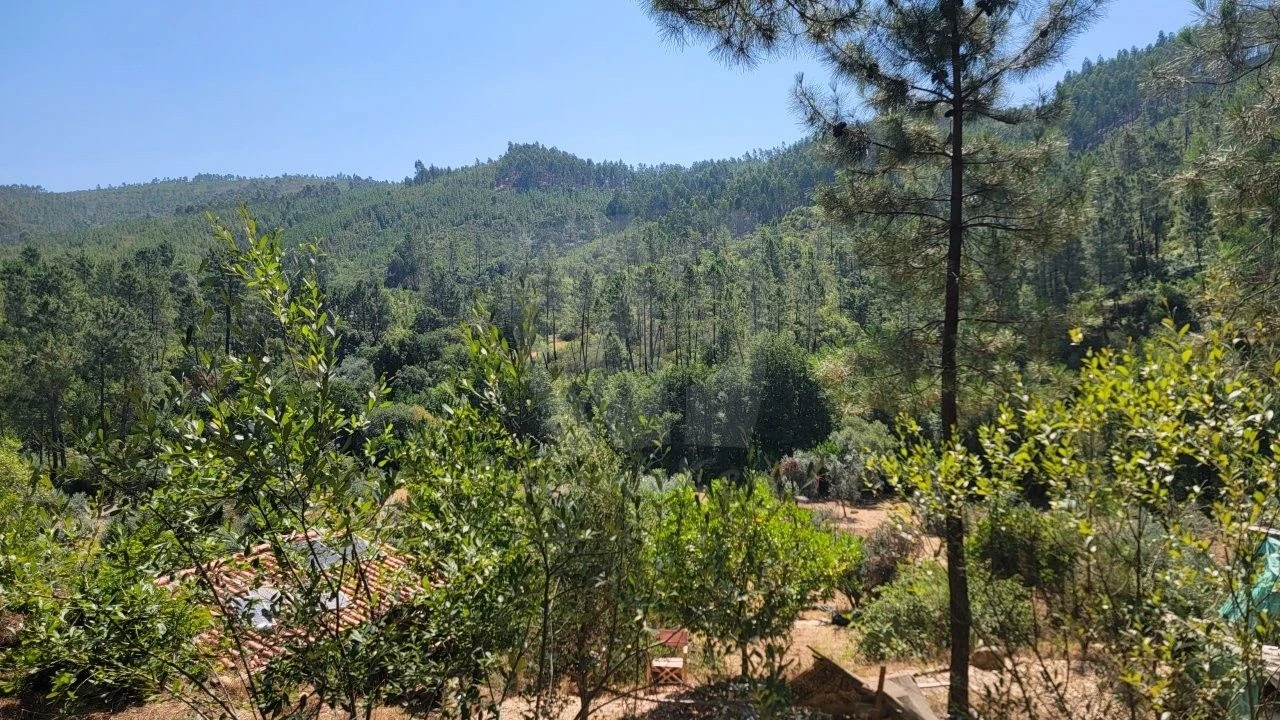 Terreno Agricola ou Rústico para Venda em Sarzedas Foto 33