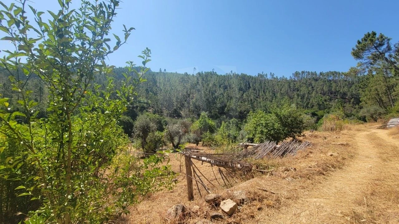 Terreno Agricola ou Rústico para Venda em Sarzedas Foto 24
