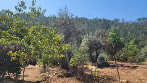 Terreno Agricola ou Rústico para Venda em Sarzedas