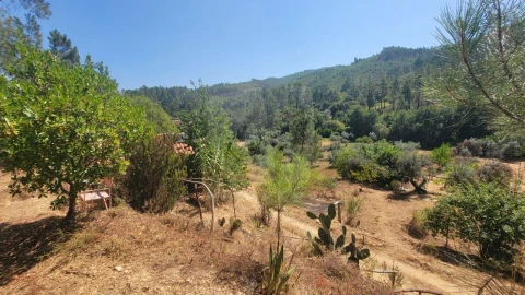Terreno Agricola ou Rústico para Venda em Sarzedas