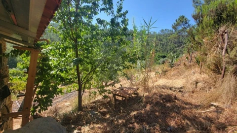Terreno Agricola ou Rústico para Venda em Sarzedas