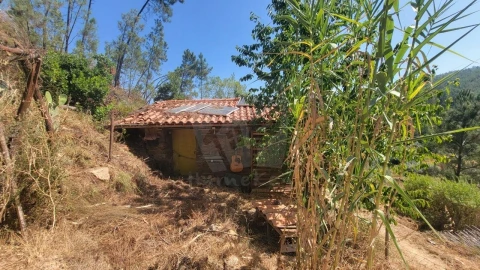 Terreno Agricola ou Rústico para Venda em Sarzedas